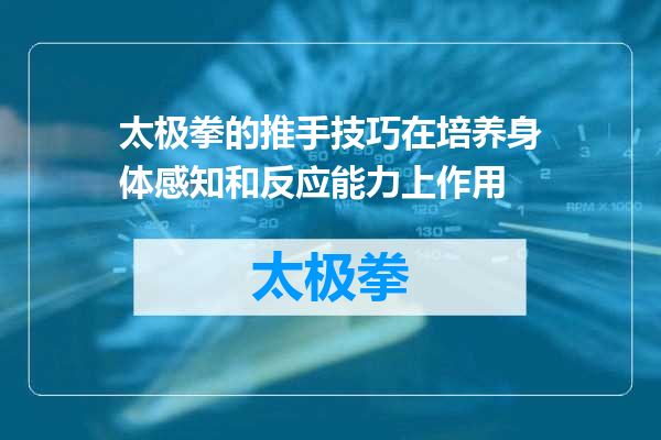 太极拳的推手技巧在培养身体感知和反应能力上作用
