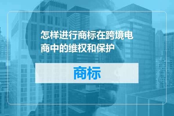 怎样进行商标在跨境电商中的维权和保护