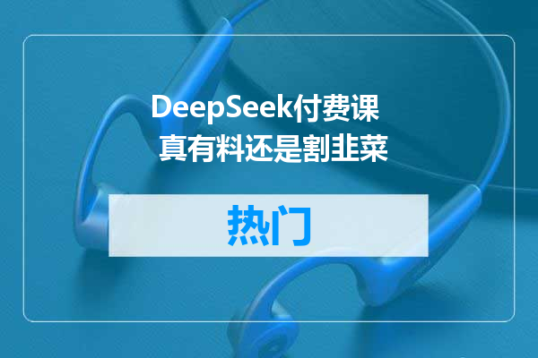 DeepSeek付费课 真有料还是割韭菜