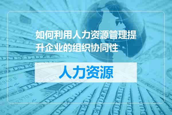 如何利用人力资源管理提升企业的组织协同性