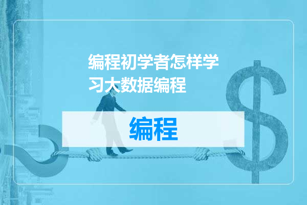 编程初学者怎样学习大数据编程