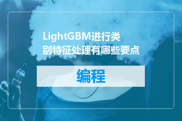 LightGBM进行类别特征处理有哪些要点