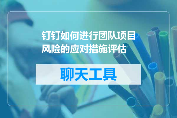 钉钉如何进行团队项目风险的应对措施评估