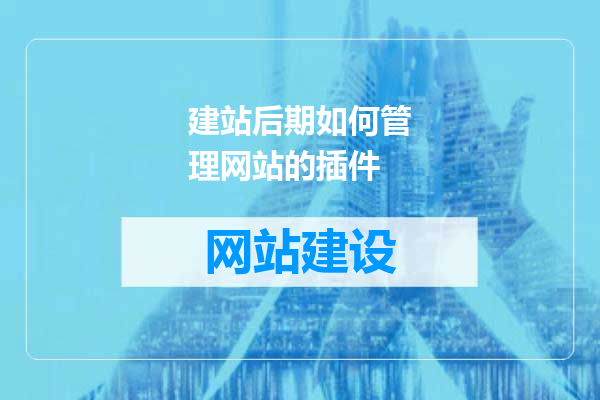 建站后期如何管理网站的插件