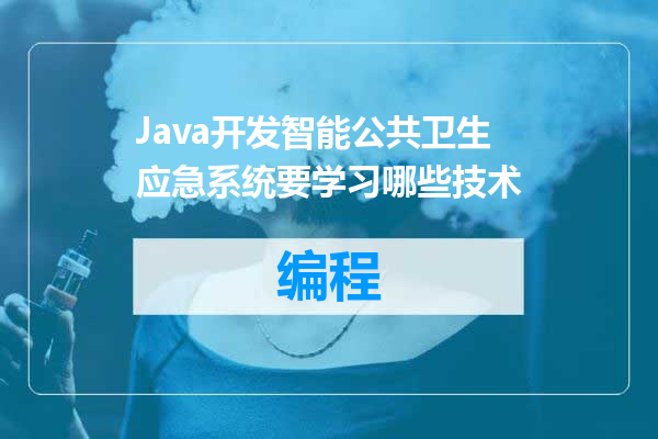 Java开发智能公共卫生应急系统要学习哪些技术