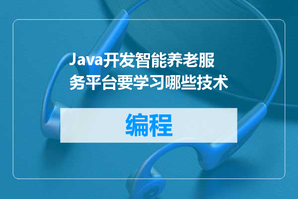 Java开发智能养老服务平台要学习哪些技术