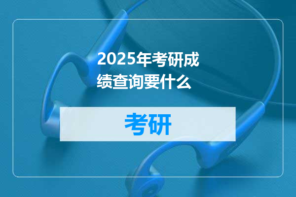 2025年考研成绩查询要什么