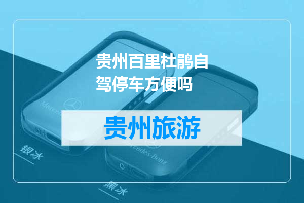 贵州百里杜鹃自驾停车方便吗