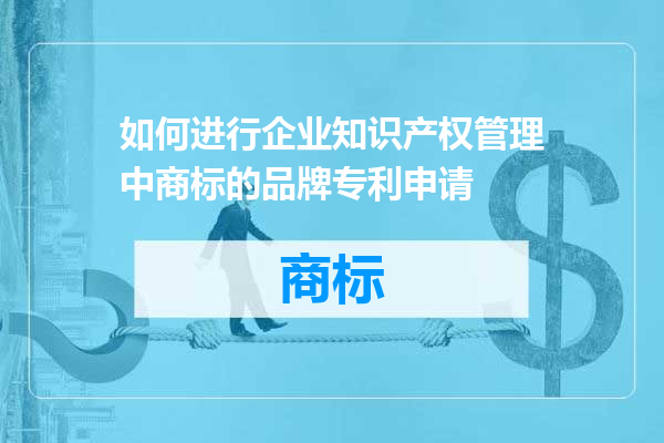 如何进行企业知识产权管理中商标的品牌专利申请