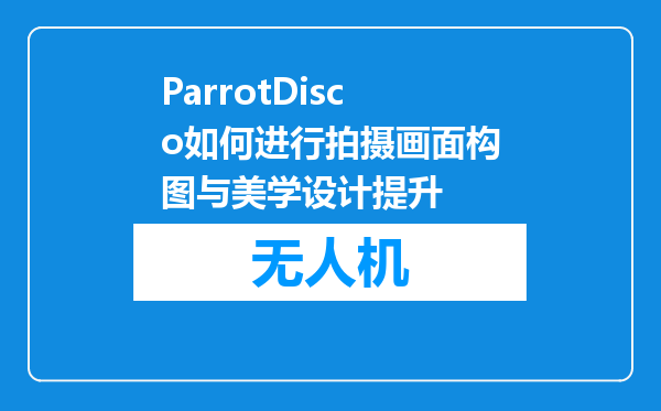ParrotDisco如何进行拍摄画面构图与美学设计提升