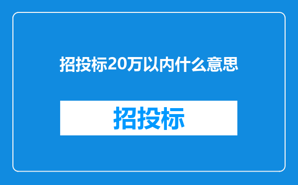 招投标20万以内什么意思