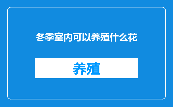 冬季室内可以养殖什么花