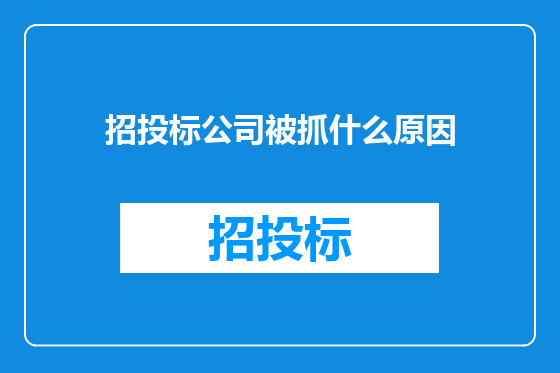 招投标公司被抓什么原因