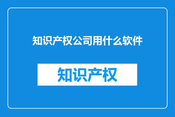 知识产权公司用什么软件