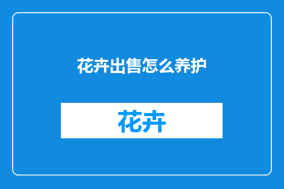 花卉出售怎么养护