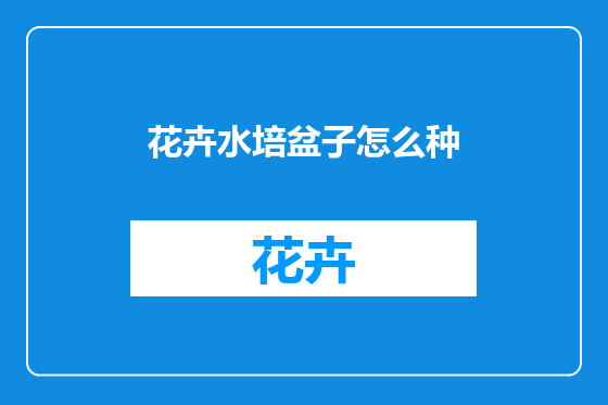 花卉水培盆子怎么种