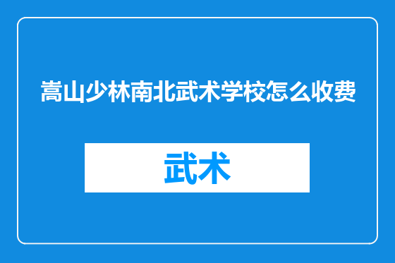 嵩山少林南北武术学校怎么收费
