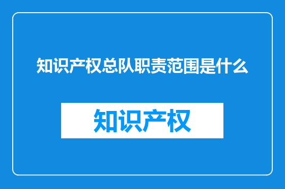 知识产权总队职责范围是什么