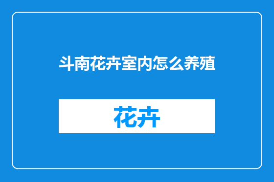 斗南花卉室内怎么养殖