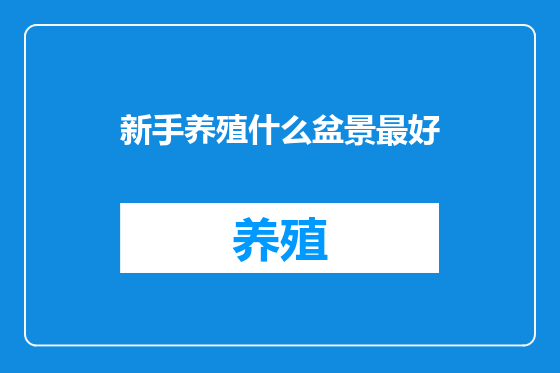 新手养殖什么盆景最好