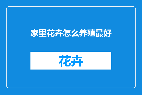 家里花卉怎么养殖最好
