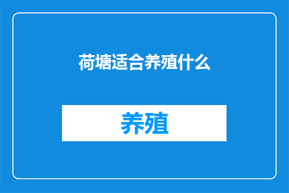 荷塘适合养殖什么