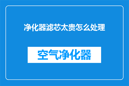 净化器滤芯太贵怎么处理(如何处理净化器滤芯价格过高的问题？)