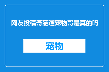 网友投稿奇葩遛宠物哥是真的吗(网友投稿：真有其事？遛宠物哥的奇葩行为是否属实？)