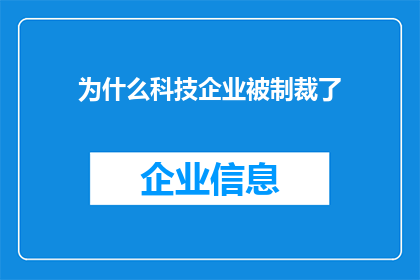 为什么科技企业被制裁了(为何科技巨头遭遇国际制裁？)