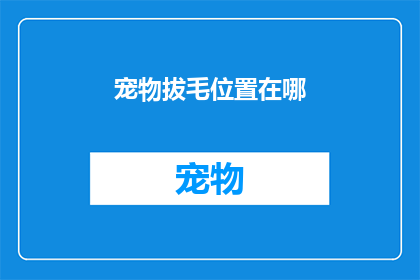 宠物拔毛位置在哪(宠物拔毛位置之谜：您知道宠物毛发的去处吗？)