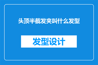 头顶半截发夹叫什么发型(头顶半截发夹的发型叫什么？)