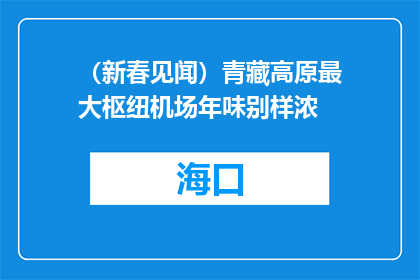 （新春见闻）青藏高原最大枢纽机场年味别样浓