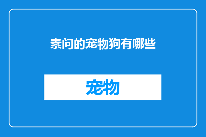 素问的宠物狗有哪些(你了解哪些素问宠物狗品种吗？)