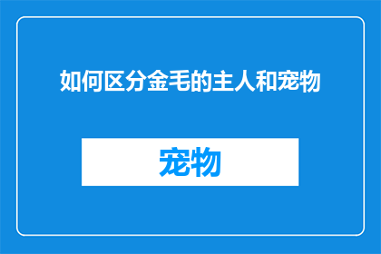 如何区分金毛的主人和宠物(如何识别金毛犬的主人与宠物之间的微妙差异？)